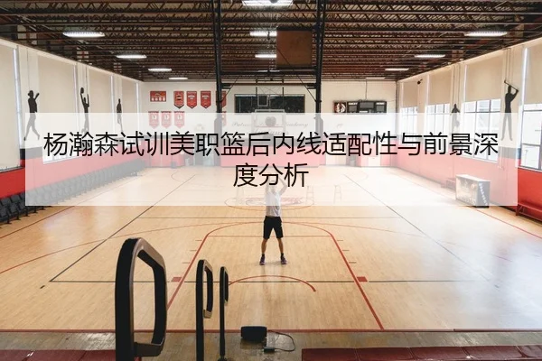 杨瀚森试训美职篮后内线适配性与前景深度分析