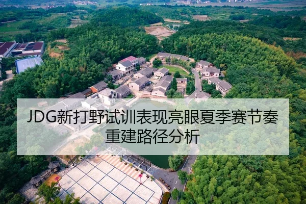 JDG新打野试训表现亮眼夏季赛节奏重建路径分析